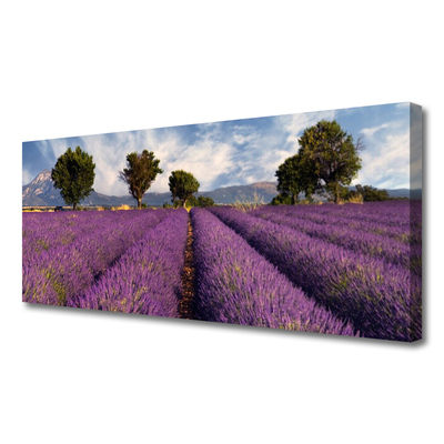 Zdjęcie na płótnie Sielska Polana z Drzewami