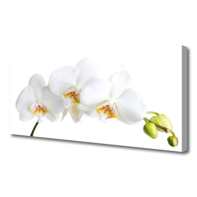 Duży obraz na płótnie Pastelowy Bukiet Botaniczny