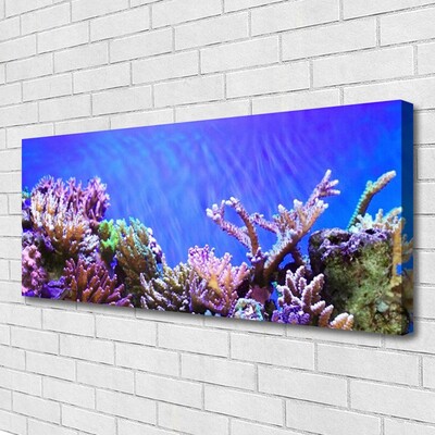 Obraz canvas Podwodny Świat Rafy Koralowej