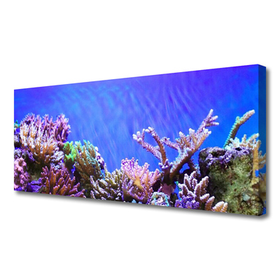 Obraz canvas Podwodny Świat Rafy Koralowej