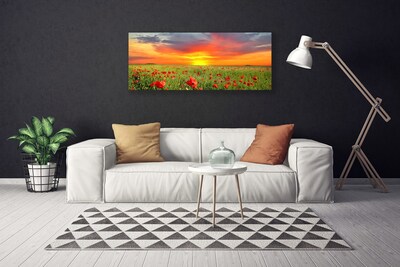 Obraz Canvas Maki Słońce Roślina Natura