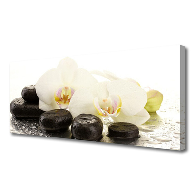 Obraz canvas Równowaga: Kwiat i Gładki Kamień