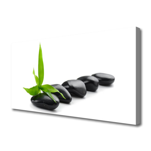 Zdjęcie na płótnie Kompozycja Kamienia i Liścia