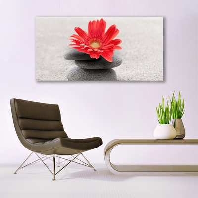Obraz canvas Radosna Gerbera w Detalu