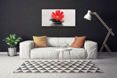 Obraz canvas Radosna Gerbera w Detalu