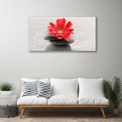Obraz canvas Radosna Gerbera w Detalu