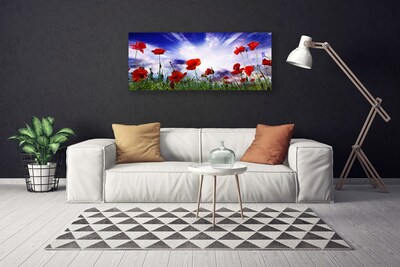 Fotoobraz na płótnie Czerwone Maki w Polu
