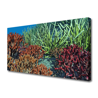 Obraz canvas Podwodne Życie Rafy