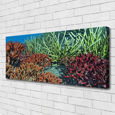 Obraz canvas Podwodne Życie Rafy