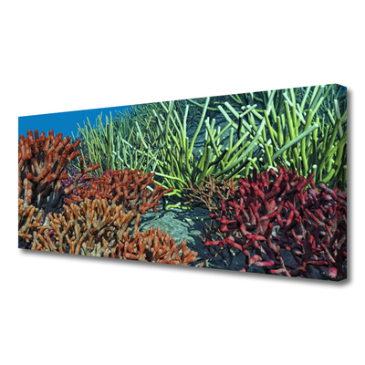 Obraz canvas Podwodne Życie Rafy