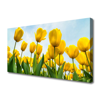 Obraz canvas Pole Tęczowych Tulipanów