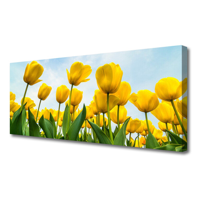 Obraz canvas Pole Tęczowych Tulipanów