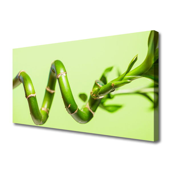 Zdjęcie na płótnie Świeże Pędy Zielonego Bambusa