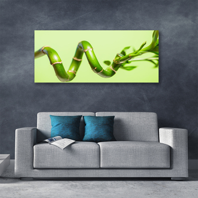 Zdjęcie na płótnie Świeże Pędy Zielonego Bambusa