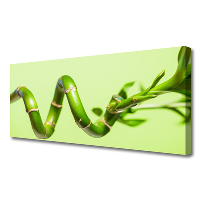 Zdjęcie na płótnie Świeże Pędy Zielonego Bambusa