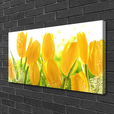 Obraz Canvas Tulipany Kwiaty Roślina