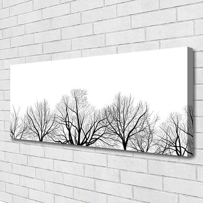 Obraz canvas Majestatyczne Drzewa w Lesie