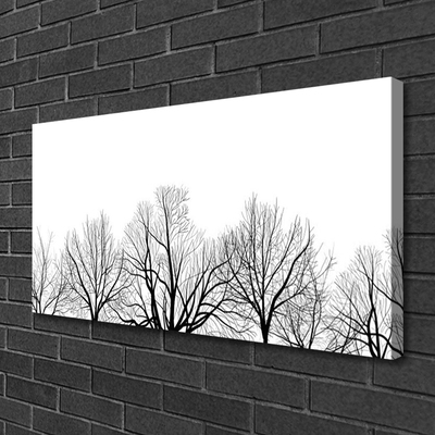 Obraz canvas Majestatyczne Drzewa w Lesie