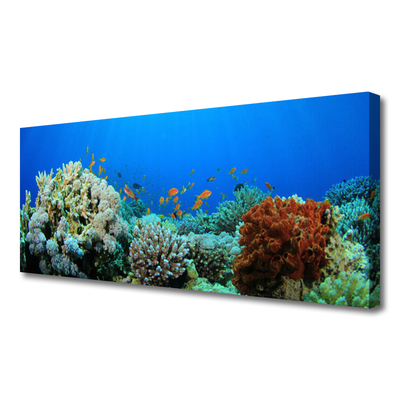 Obraz Canvas Rafa Koralowa Natura