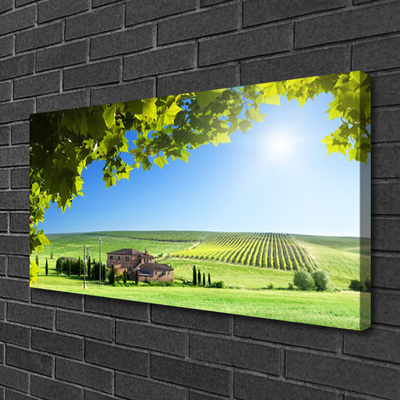 Zdjęcie na płótnie Jesienne Pole pełne Liści