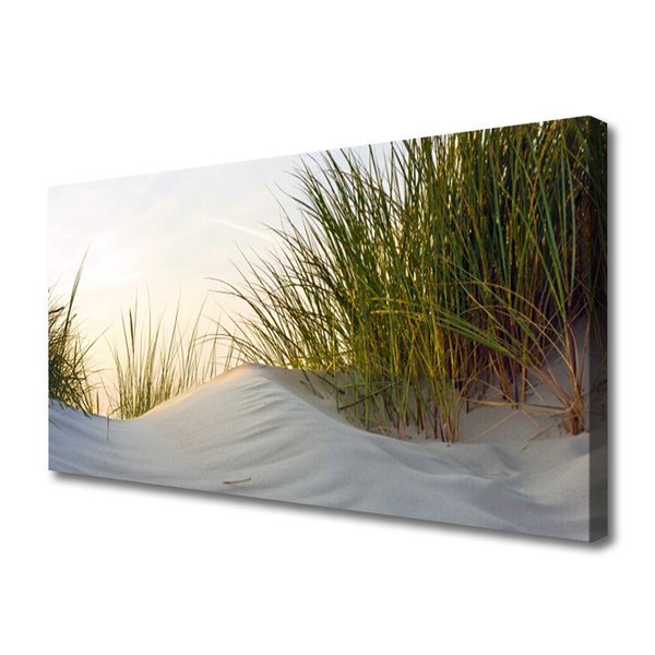 Obraz canvas na ścianę Wydmy Piaszczyste i Trawy