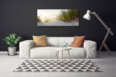 Obraz canvas na ścianę Wydmy Piaszczyste i Trawy