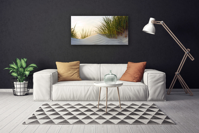 Obraz canvas na ścianę Wydmy Piaszczyste i Trawy