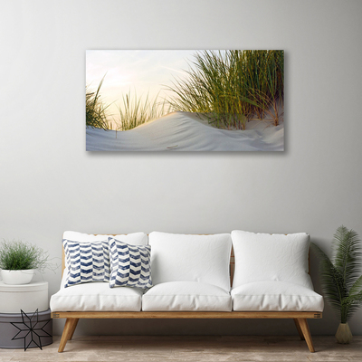 Obraz canvas na ścianę Wydmy Piaszczyste i Trawy