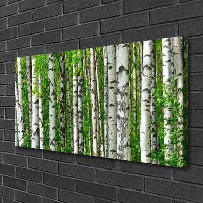 Obraz Canvas Las Roślina Natura Drzewa
