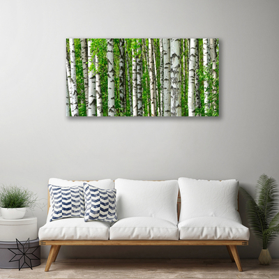 Obraz Canvas Las Roślina Natura Drzewa