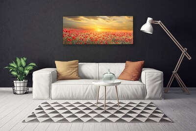 Obraz Canvas Słońce Łąka Mak Kwiaty