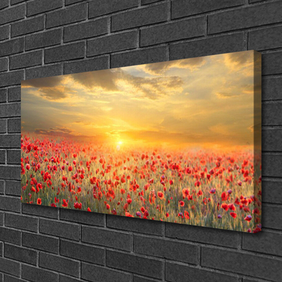 Obraz Canvas Słońce Łąka Mak Kwiaty
