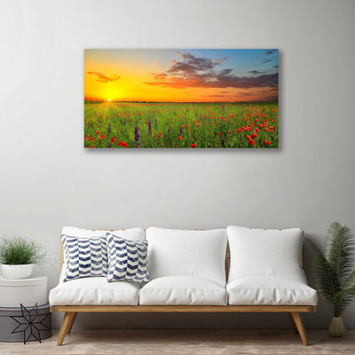 Obraz Canvas Słońce Łąka Kwiaty Natura