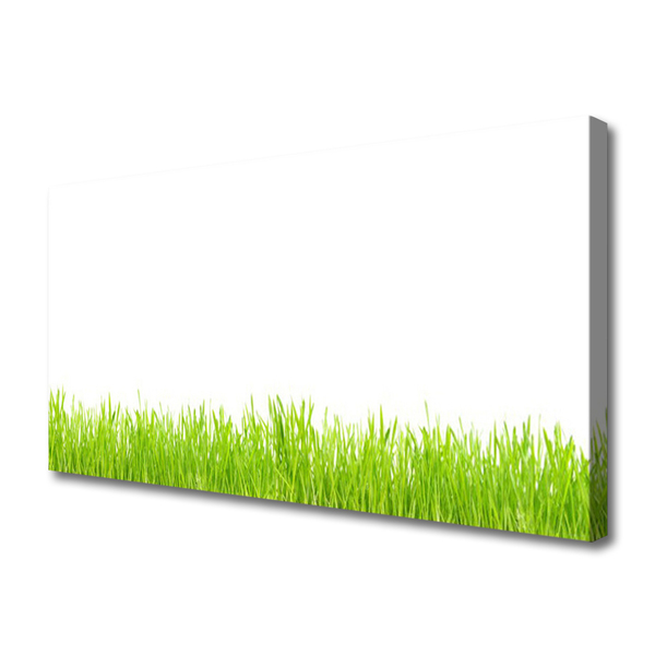Obraz drukowany na płótnie Soczysty Naturalny Trawnik