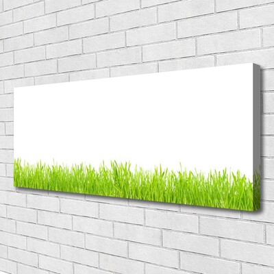 Obraz drukowany na płótnie Soczysty Naturalny Trawnik