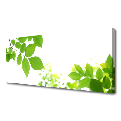 Obraz drukowany na płótnie Aksamitne Płatki Kwiatowe