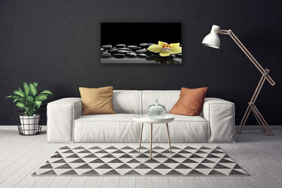 Obraz drukowany na płótnie Modernistyczny Akcent Kuchenny