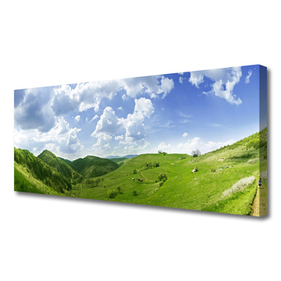 Obraz Canvas Góra Łąka Przyroda Pole
