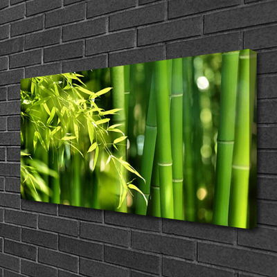 Obraz Canvas Bambus Liście Roślina