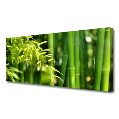 Obraz Canvas Bambus Liście Roślina