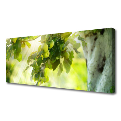 Obraz canvas Dojrzałe Jabłka na Gałęzi