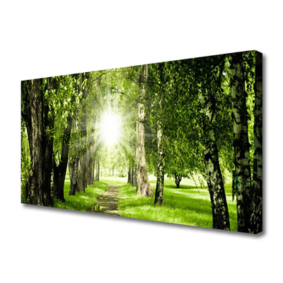 Obraz canvas Rozświetlona Ścieżka Leśna