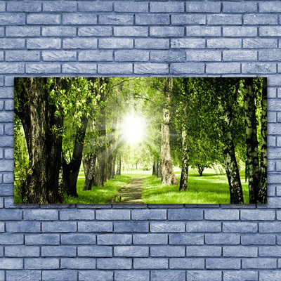 Obraz canvas Rozświetlona Ścieżka Leśna