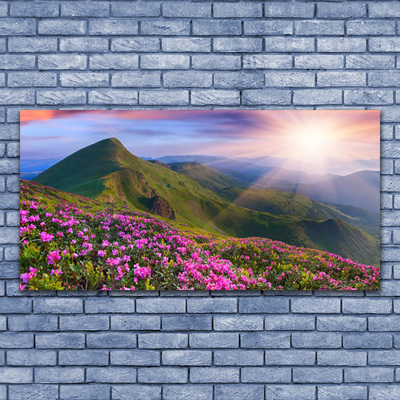 Obraz Canvas Góry Łąka Kwiaty Krajobraz