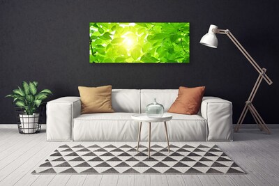 Obraz Canvas Liście Natura Słońce Roślina