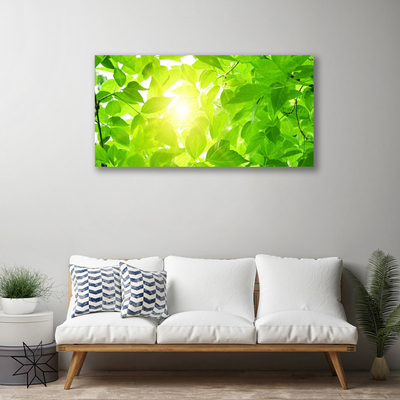 Obraz Canvas Liście Natura Słońce Roślina