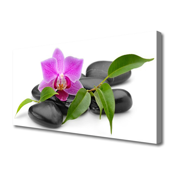Obraz Canvas Kwiat Orchidea Sztuka
