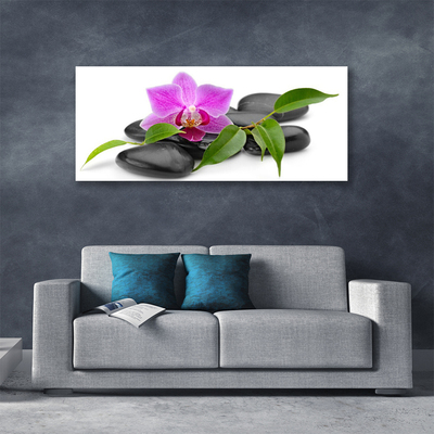 Obraz canvas Orchidea w Nowoczesnym Wydaniu