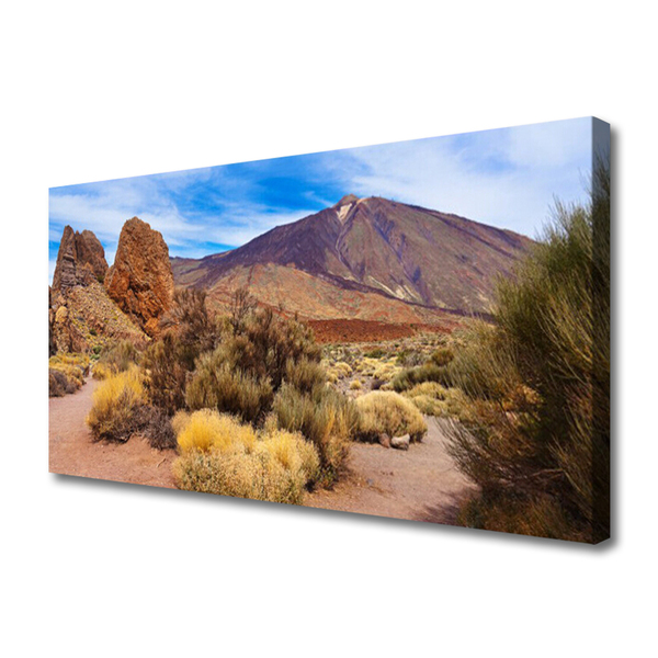 Duży obraz na płótnie Surowy Pejzaż Górski