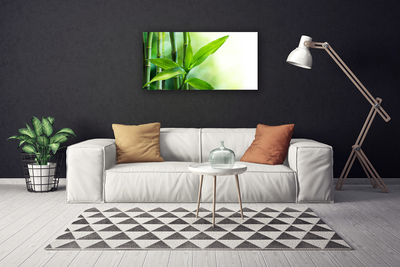 Obraz Canvas Bambus Liść Roślina Przyroda